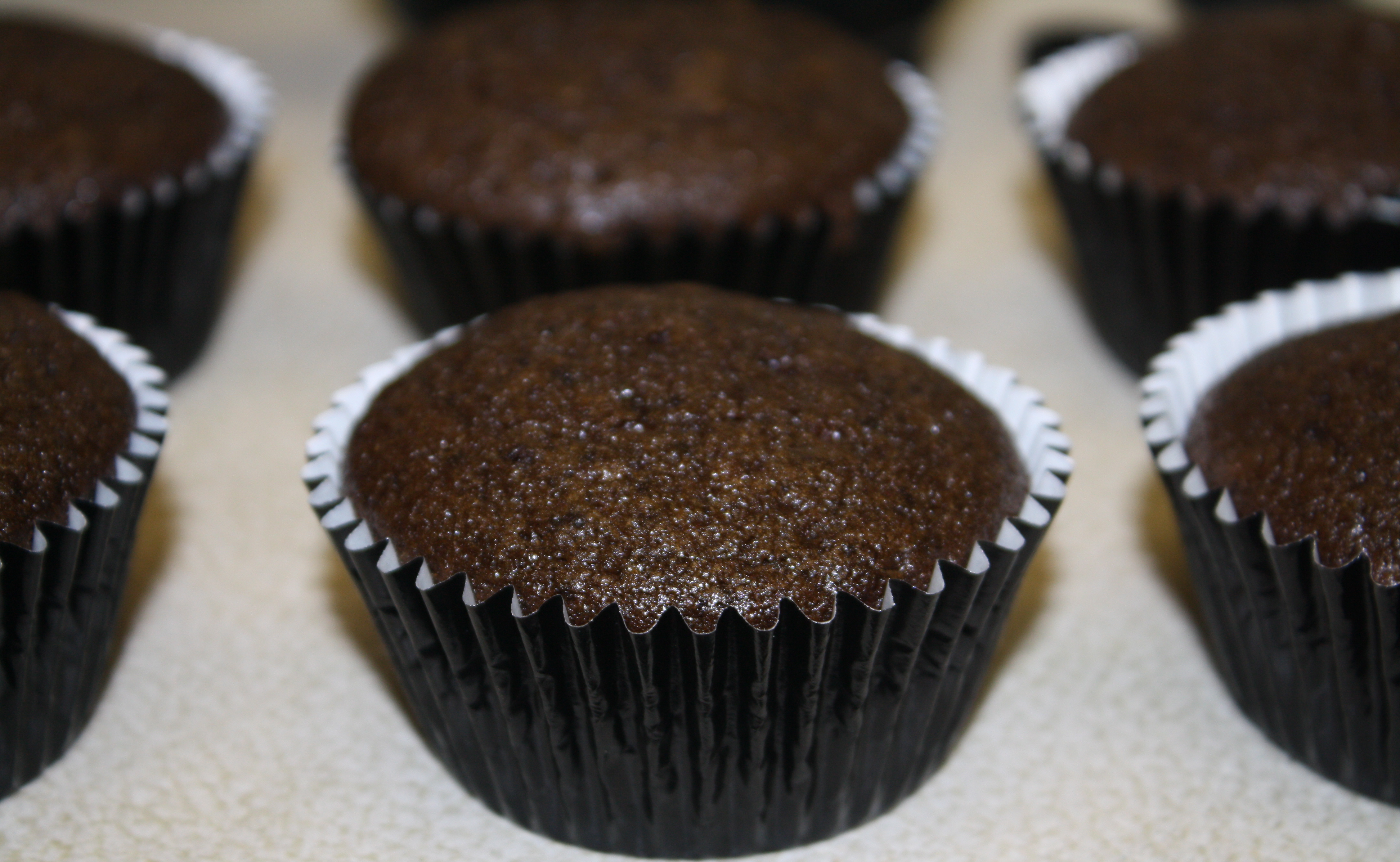 delicious chocolate cupcakes